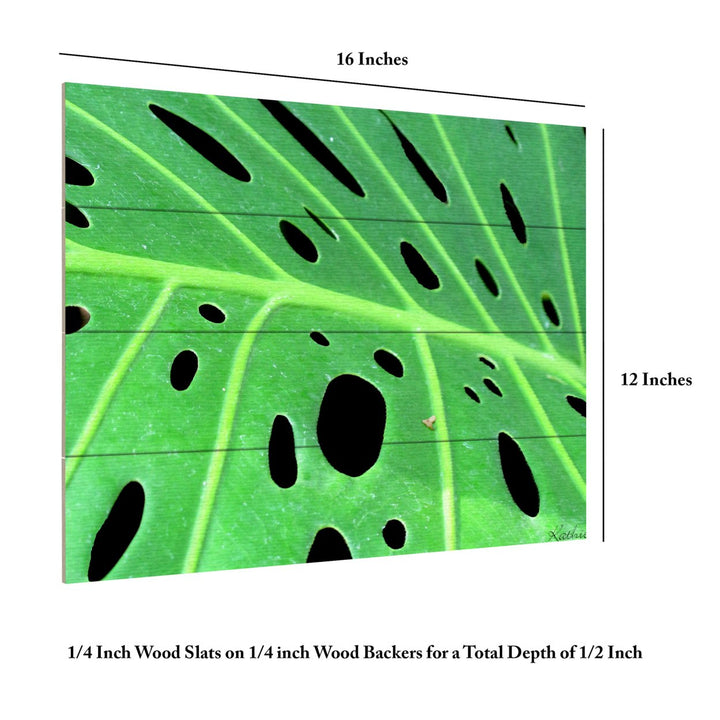 Wall Art 12 x 16 Inches Titled Tropical Leaf Ready to Hang Printed on Wooden Planks Image 6