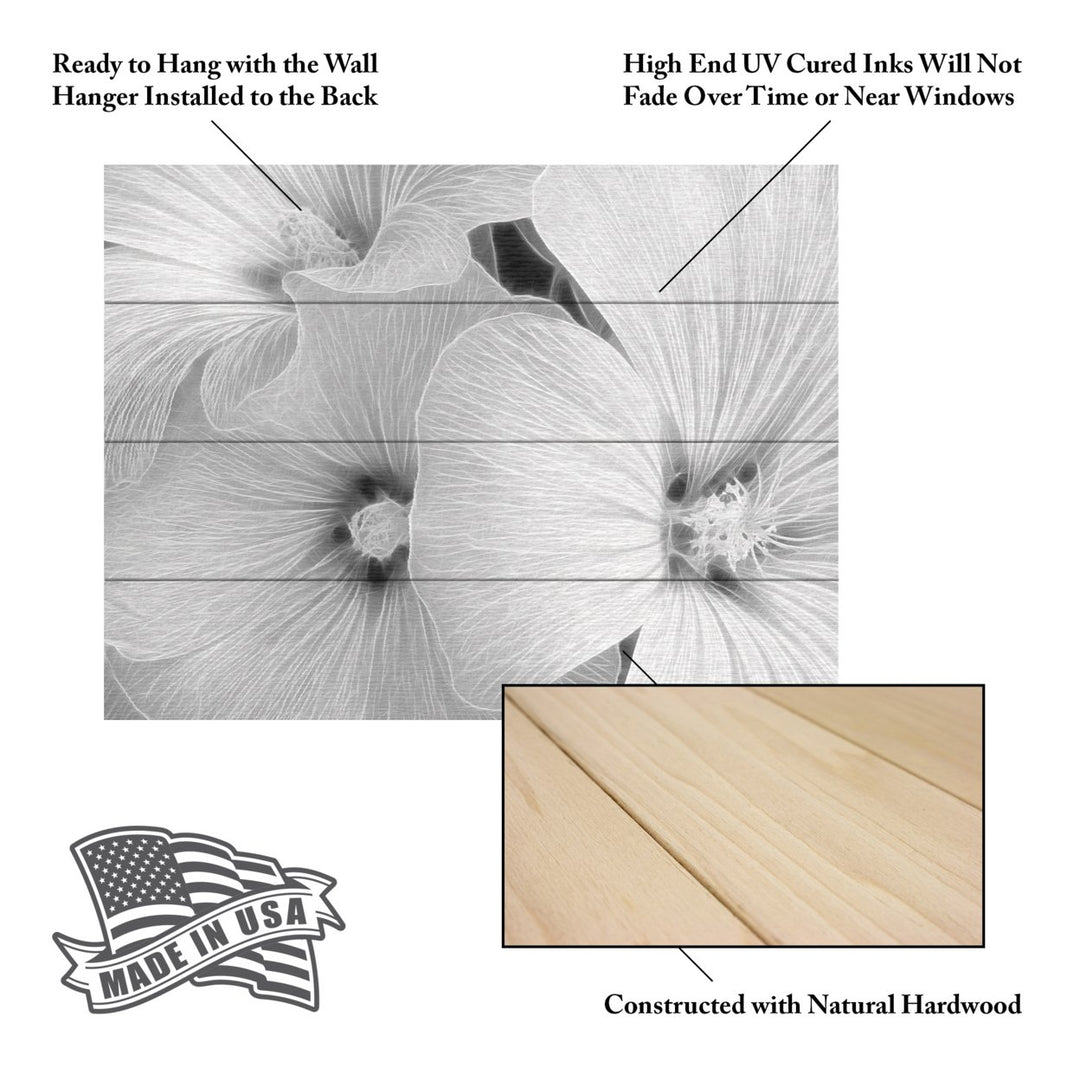 Wall Art 12 x 16 Inches Titled Sheer Malva Ready to Hang Printed on Wooden Planks Image 5