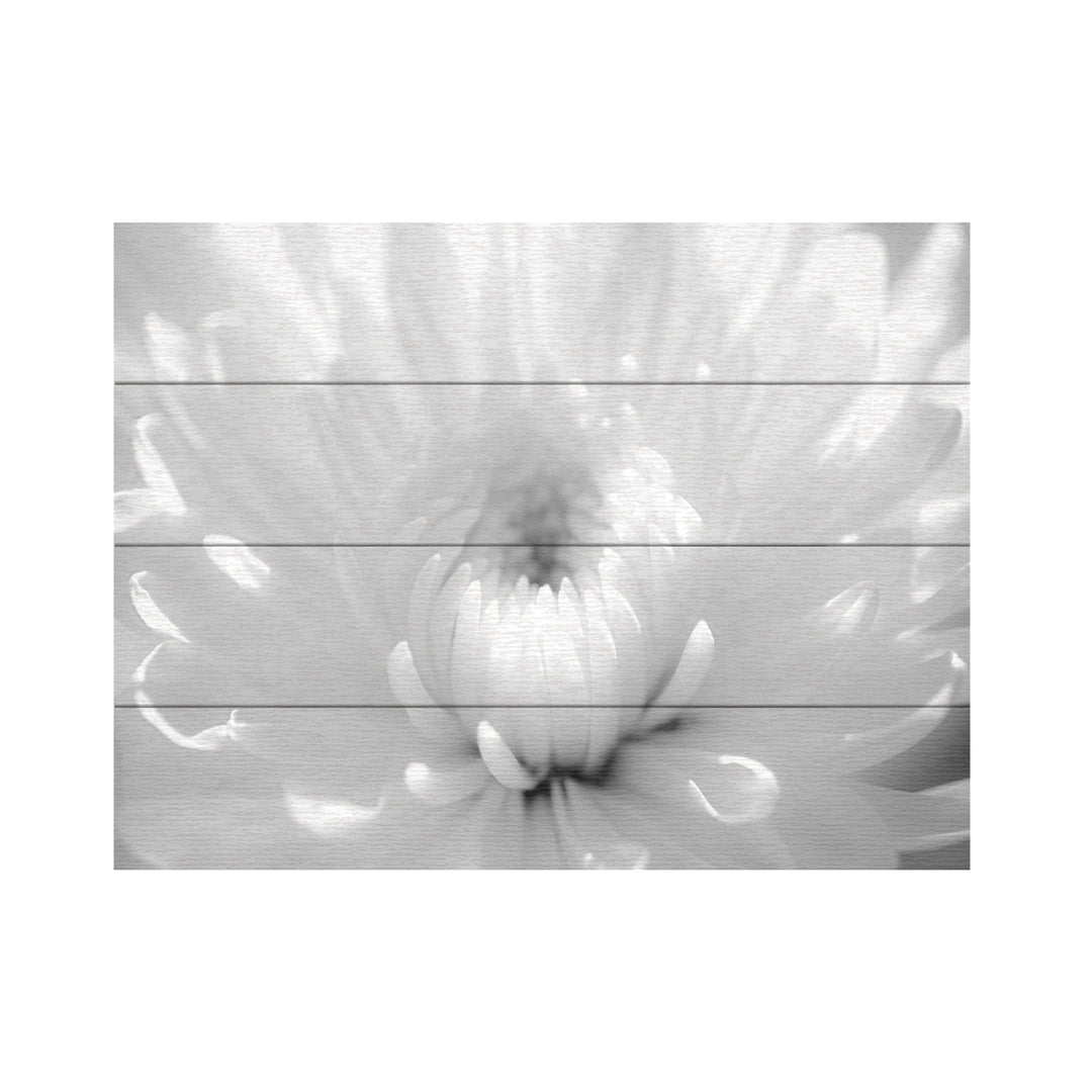 Wall Art 12 x 16 Inches Titled Infrared Flower 2 Ready to Hang Printed on Wooden Planks Image 2