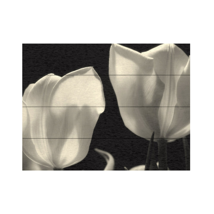 Wall Art 12 x 16 Inches Titled Tulips Ready to Hang Printed on Wooden Planks Image 2