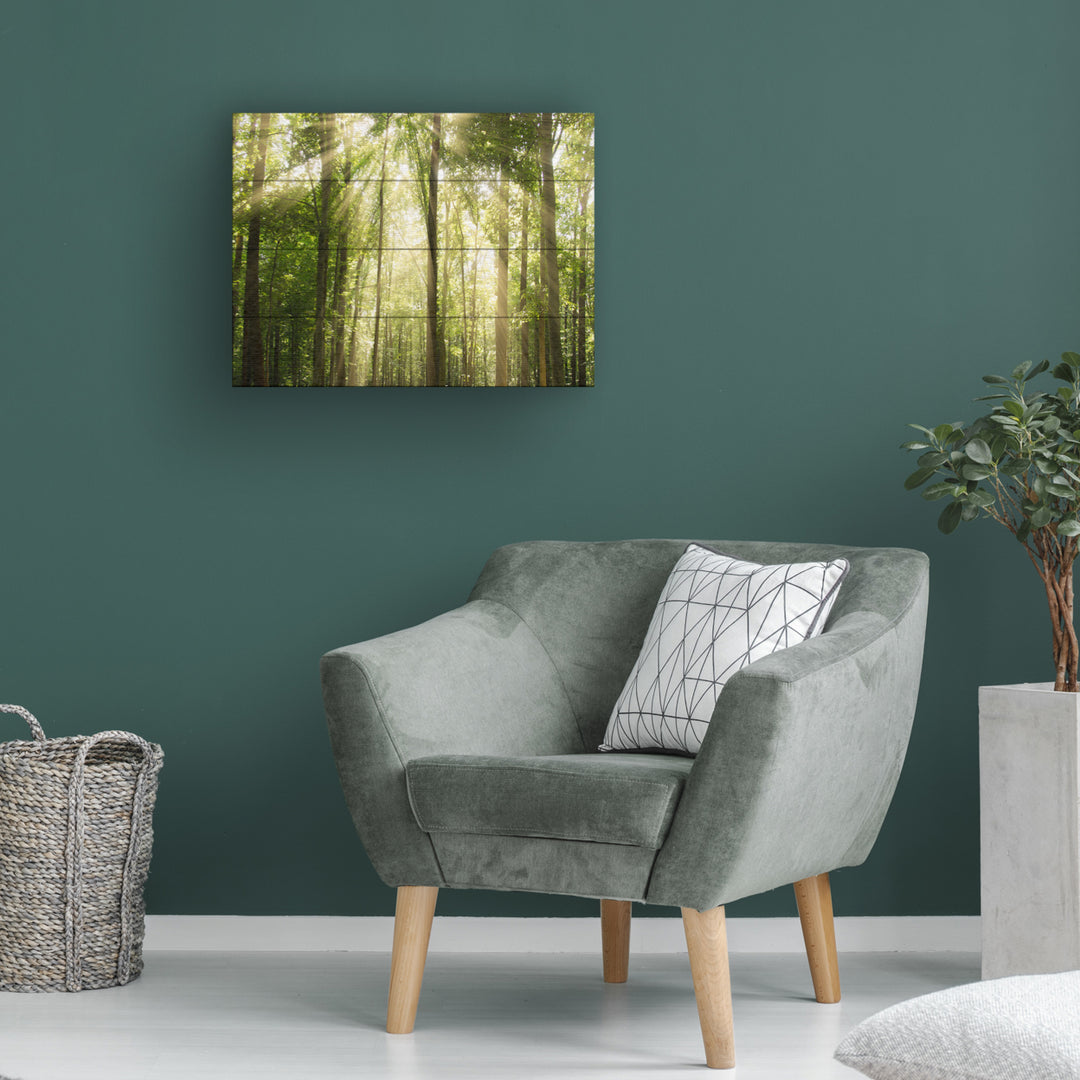 Wall Art 12 x 16 Inches Titled Sunrays Through Treetops Ready to Hang Printed on Wooden Planks Image 1