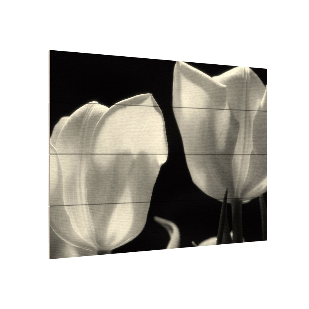 Wall Art 12 x 16 Inches Titled Tulips Ready to Hang Printed on Wooden Planks Image 3