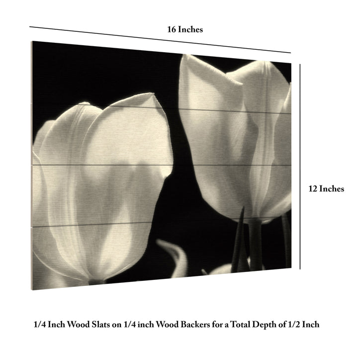 Wall Art 12 x 16 Inches Titled Tulips Ready to Hang Printed on Wooden Planks Image 6