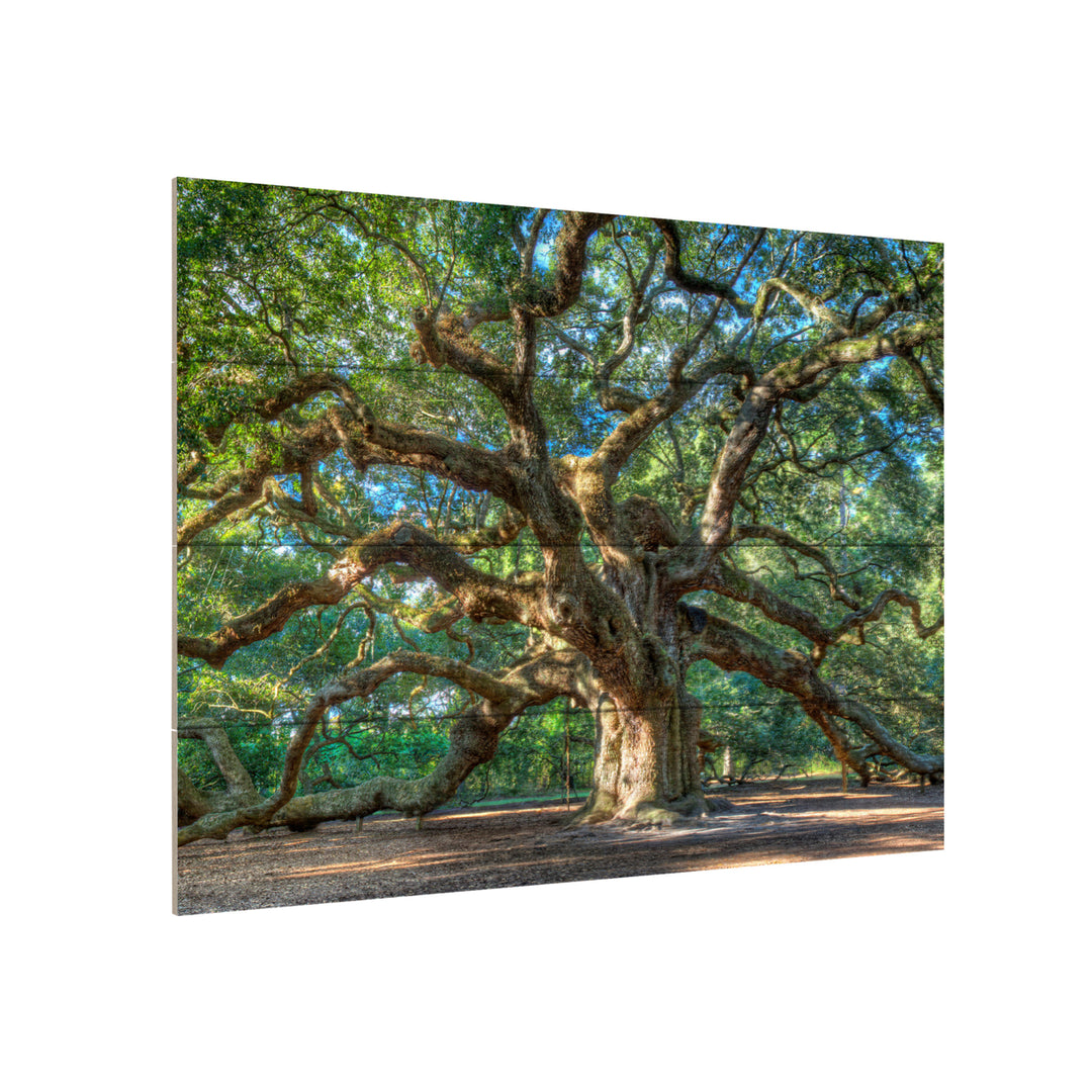 Wall Art 12 x 16 Inches Titled Angel Oak Charleston Ready to Hang Printed on Wooden Planks Image 3