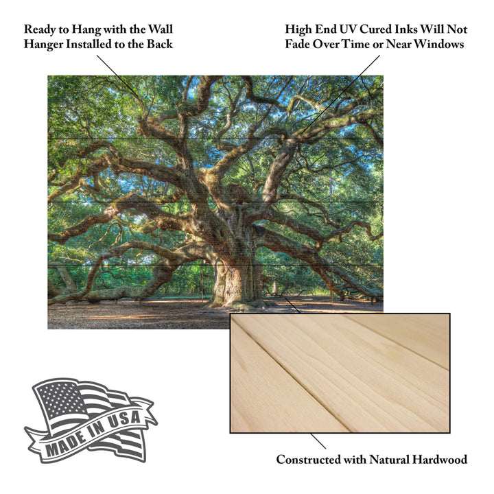 Wall Art 12 x 16 Inches Titled Angel Oak Charleston Ready to Hang Printed on Wooden Planks Image 5