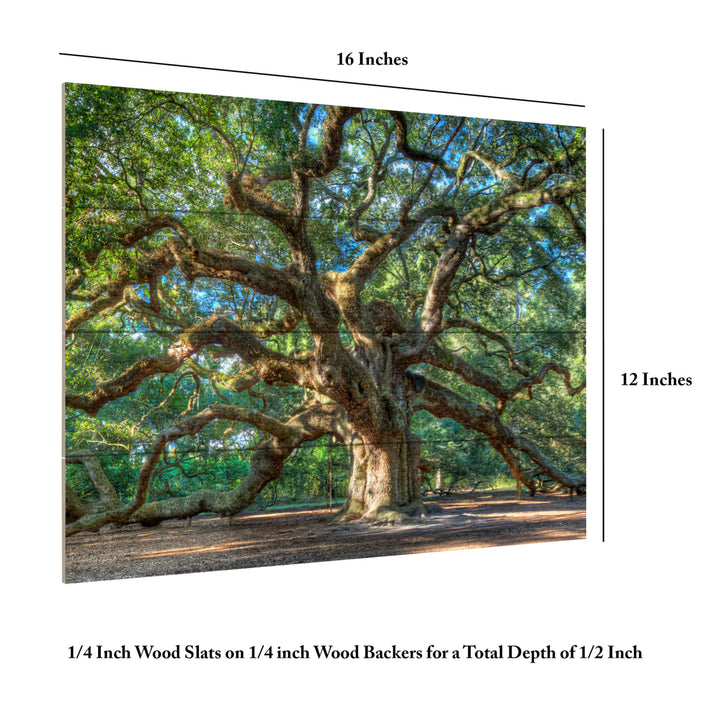 Wall Art 12 x 16 Inches Titled Angel Oak Charleston Ready to Hang Printed on Wooden Planks Image 6