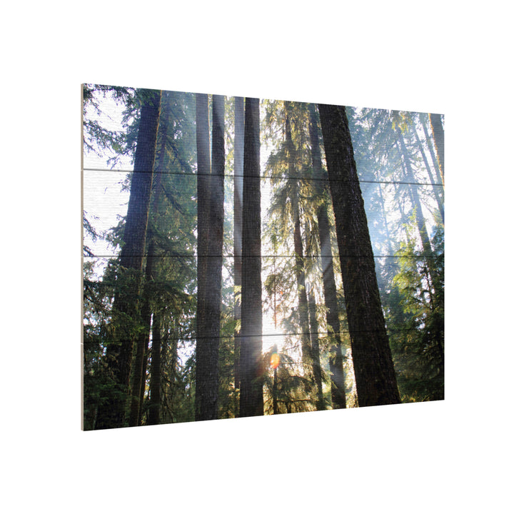 Wall Art 12 x 16 Inches Titled Sunrays Ready to Hang Printed on Wooden Planks Image 3