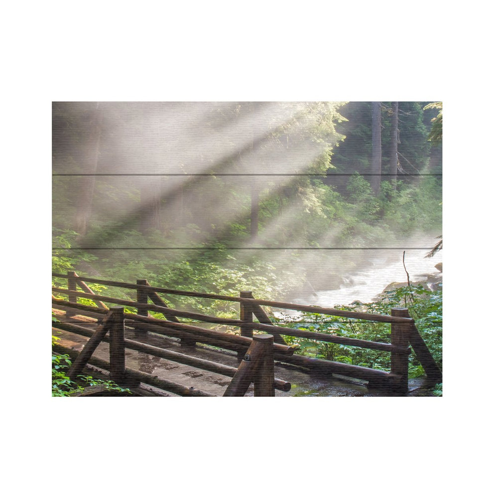 Wall Art 12 x 16 Inches Titled Forest Sunlight Ready to Hang Printed on Wooden Planks Image 2