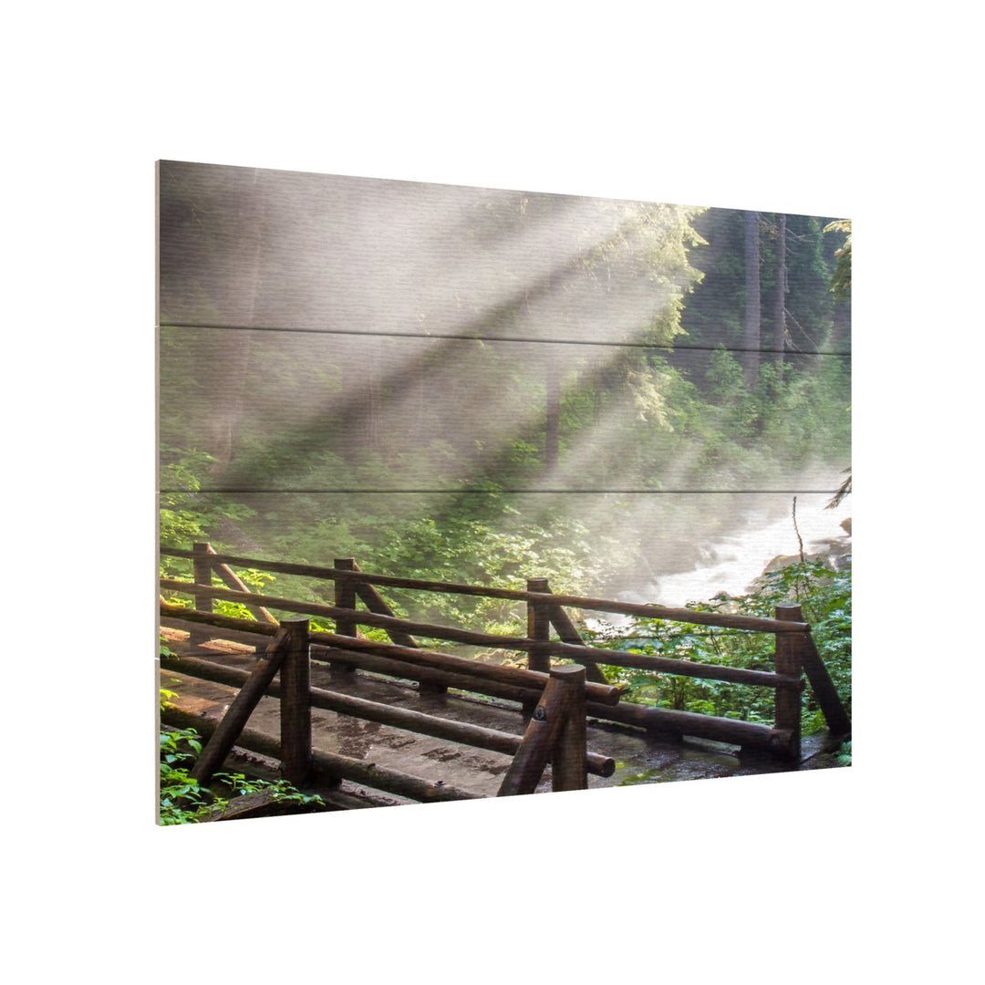 Wall Art 12 x 16 Inches Titled Forest Sunlight Ready to Hang Printed on Wooden Planks Image 3