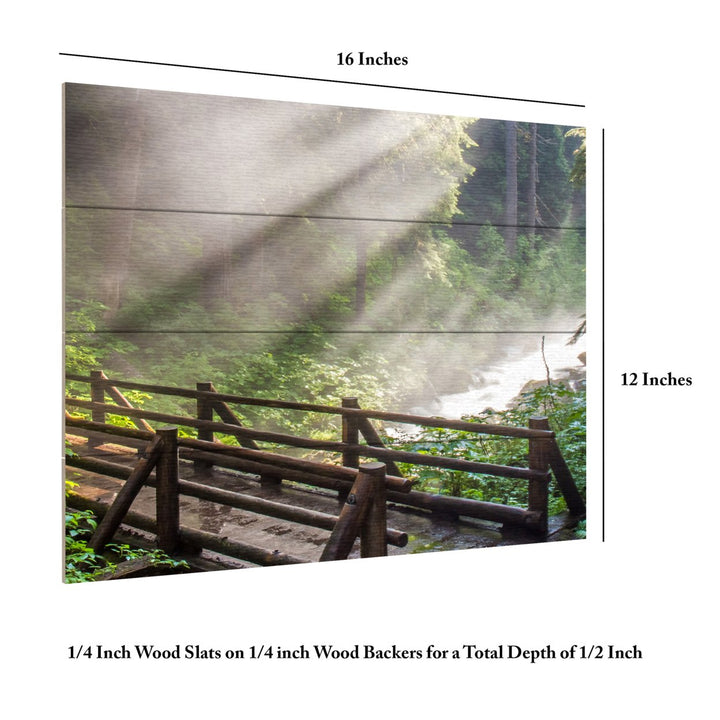 Wall Art 12 x 16 Inches Titled Forest Sunlight Ready to Hang Printed on Wooden Planks Image 6