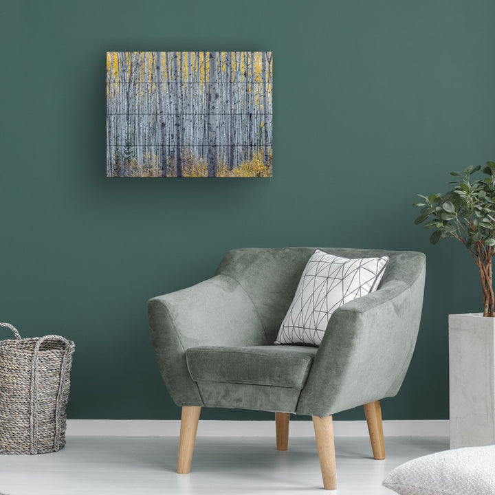 Wall Art 12 x 16 Inches Titled Forest of Aspen Trees Ready to Hang Printed on Wooden Planks Image 1