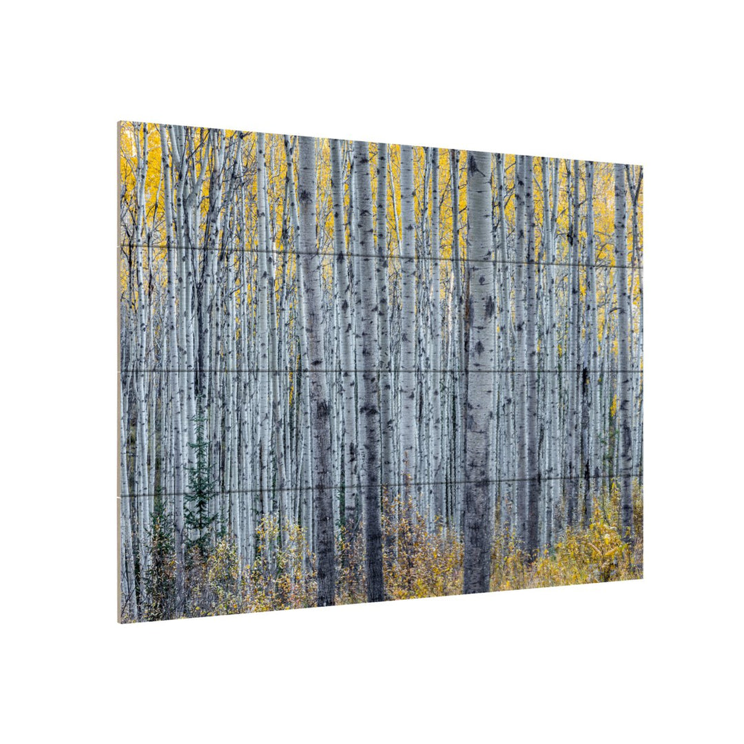 Wall Art 12 x 16 Inches Titled Forest of Aspen Trees Ready to Hang Printed on Wooden Planks Image 3