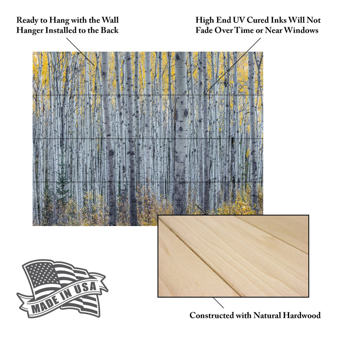 Wall Art 12 x 16 Inches Titled Forest of Aspen Trees Ready to Hang Printed on Wooden Planks Image 5