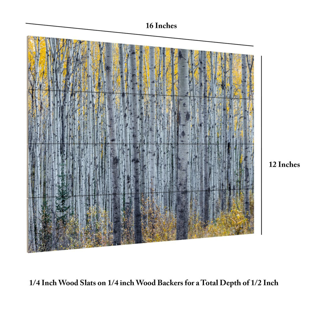 Wall Art 12 x 16 Inches Titled Forest of Aspen Trees Ready to Hang Printed on Wooden Planks Image 6
