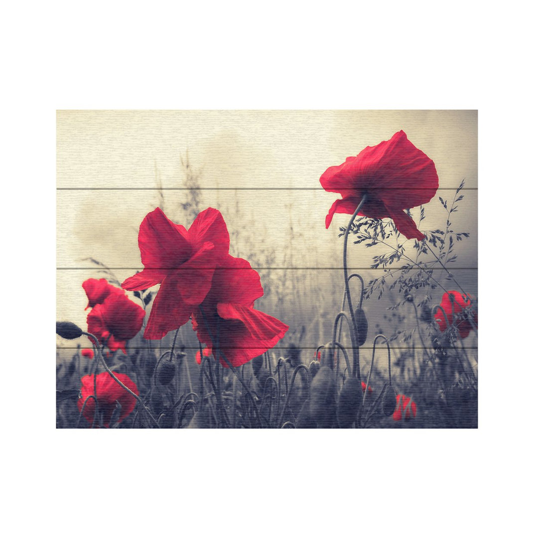 Wall Art 12 x 16 Inches Titled Red For Love Ready to Hang Printed on Wooden Planks Image 2