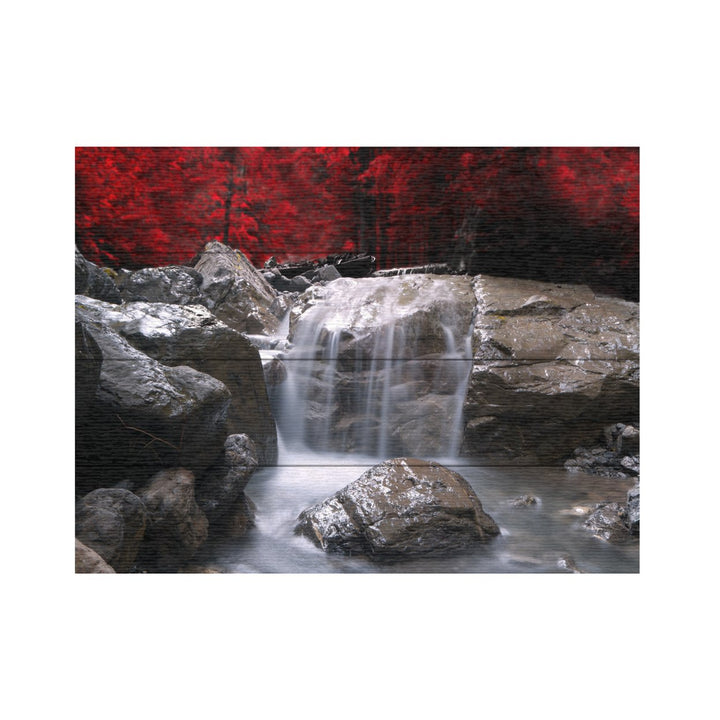 Wall Art 12 x 16 Inches Titled Red Vison Ready to Hang Printed on Wooden Planks Image 2
