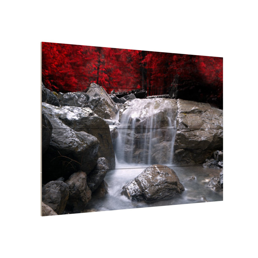 Wall Art 12 x 16 Inches Titled Red Vison Ready to Hang Printed on Wooden Planks Image 3