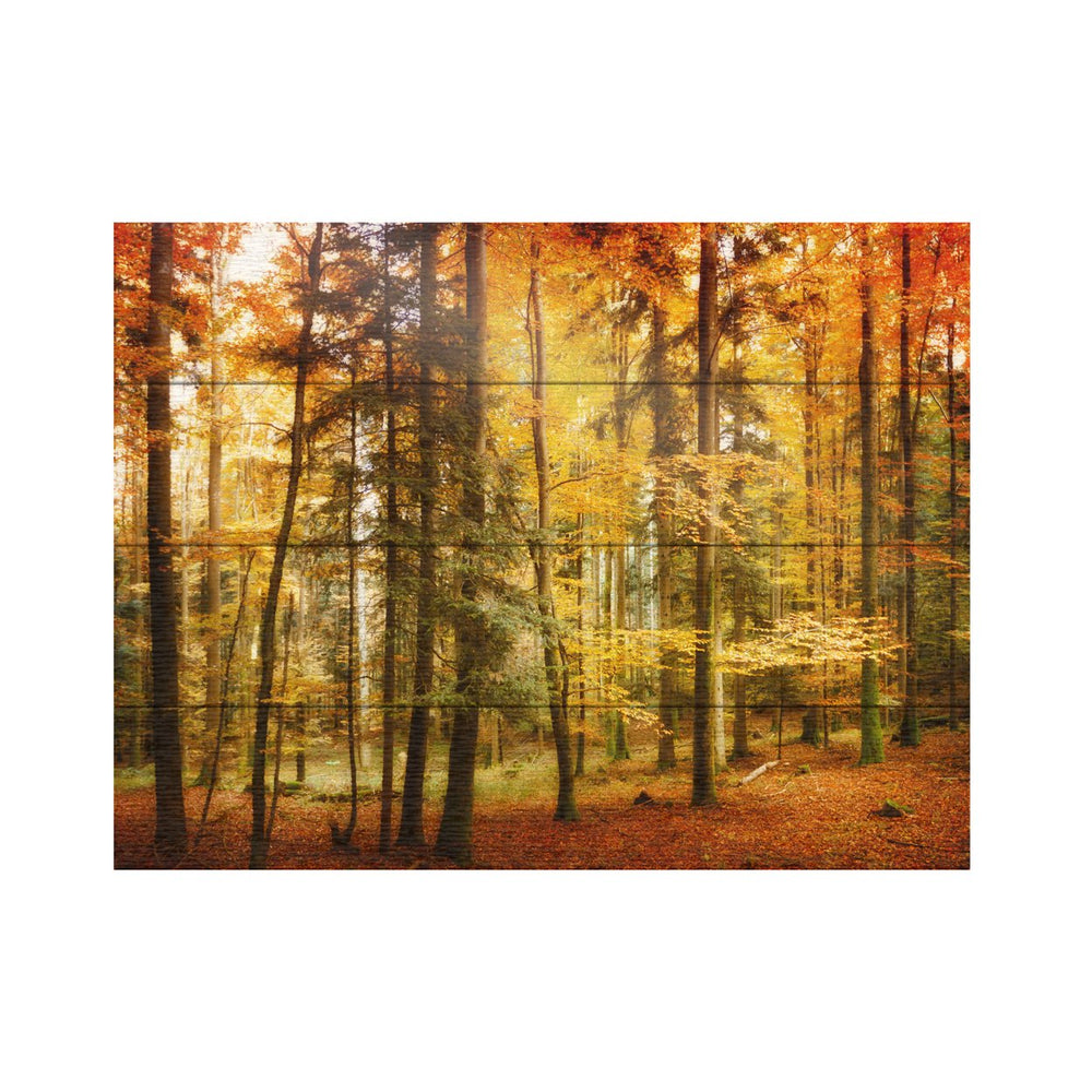 Wall Art 12 x 16 Inches Titled Brilliant Fall Color Ready to Hang Printed on Wooden Planks Image 2