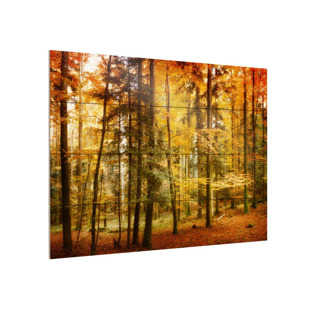 Wall Art 12 x 16 Inches Titled Brilliant Fall Color Ready to Hang Printed on Wooden Planks Image 3