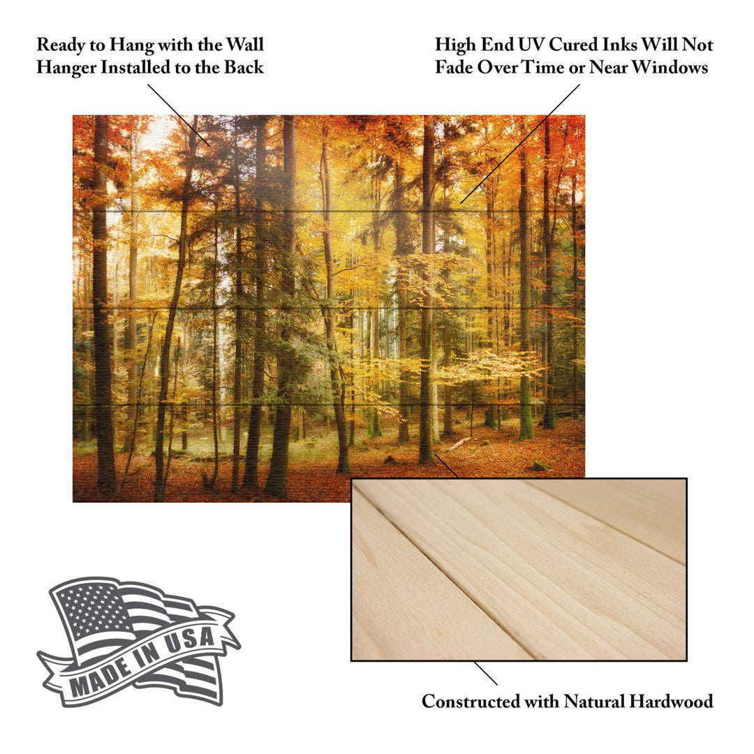 Wall Art 12 x 16 Inches Titled Brilliant Fall Color Ready to Hang Printed on Wooden Planks Image 5