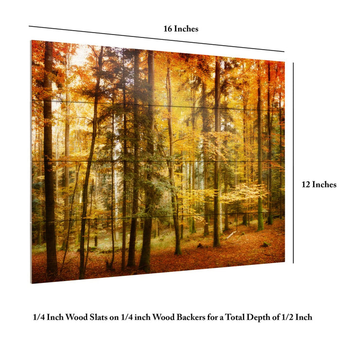 Wall Art 12 x 16 Inches Titled Brilliant Fall Color Ready to Hang Printed on Wooden Planks Image 6