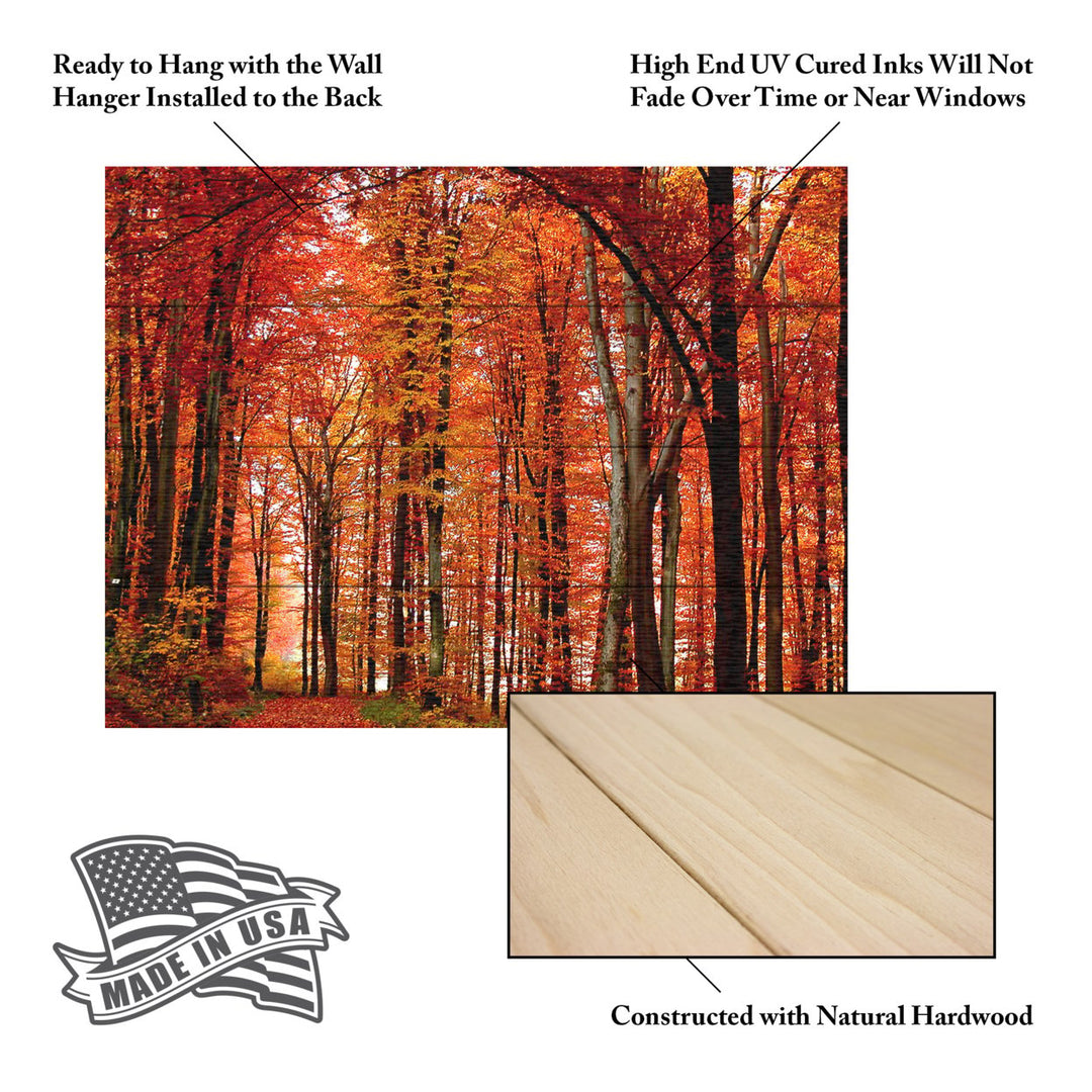 Wall Art 12 x 16 Inches Titled The Red Way Ready to Hang Printed on Wooden Planks Image 5