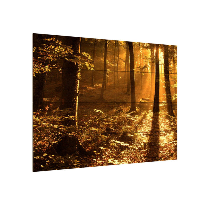 Wall Art 12 x 16 Inches Titled Morning Light Ready to Hang Printed on Wooden Planks Image 3