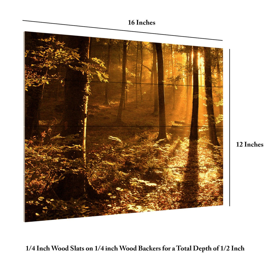 Wall Art 12 x 16 Inches Titled Morning Light Ready to Hang Printed on Wooden Planks Image 6