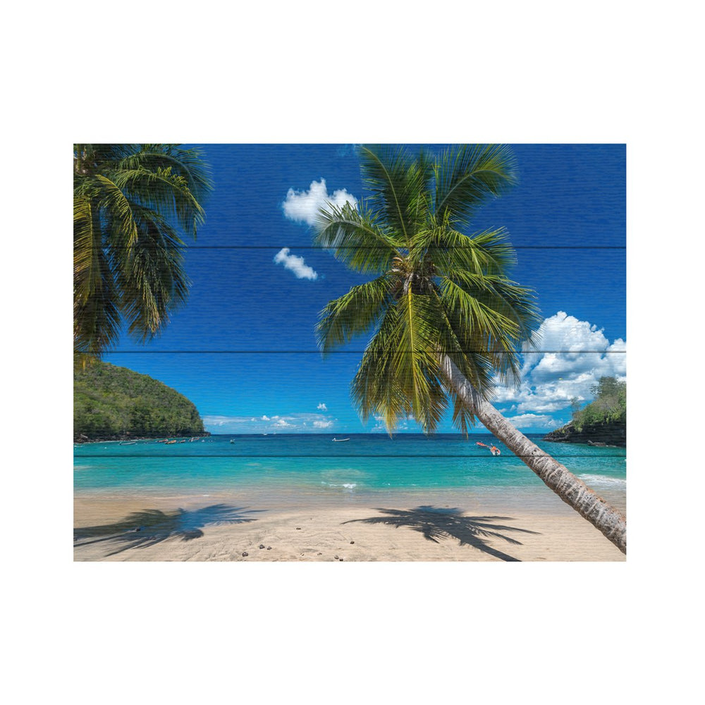 Wall Art 12 x 16 Inches Titled Martinique Ready to Hang Printed on Wooden Planks Image 2