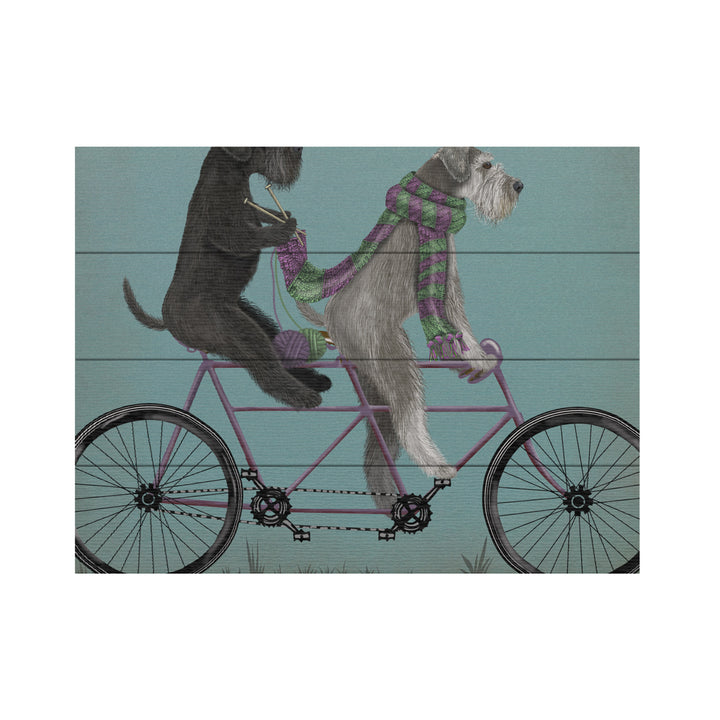 Wall Art 12 x 16 Inches Titled Schnauzer Tandem Ready to Hang Printed on Wooden Planks Image 2