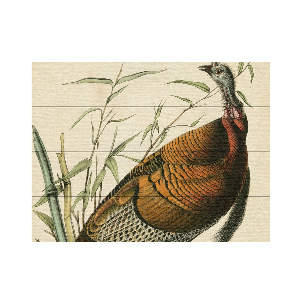 Wall Art 12 x 16 Inches Titled Audubon Wild Turkey Ready to Hang Printed on Wooden Planks Image 2