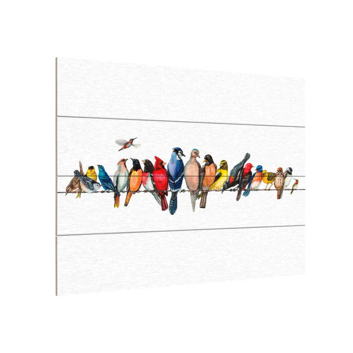 Wall Art 12 x 16 Inches Titled Large Bird Menagerie Ii Ready to Hang Printed on Wooden Planks Image 3