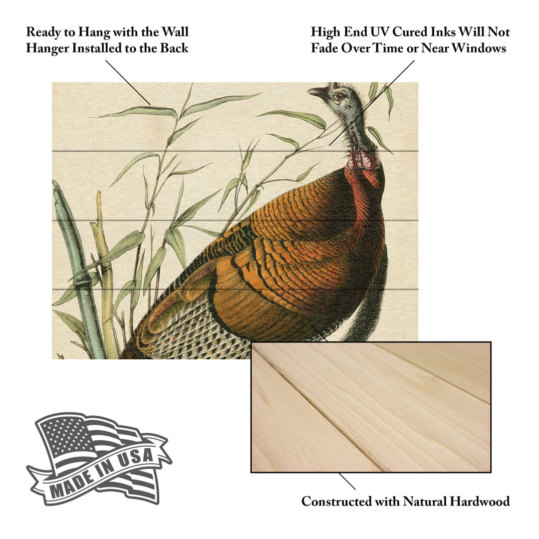 Wall Art 12 x 16 Inches Titled Audubon Wild Turkey Ready to Hang Printed on Wooden Planks Image 5