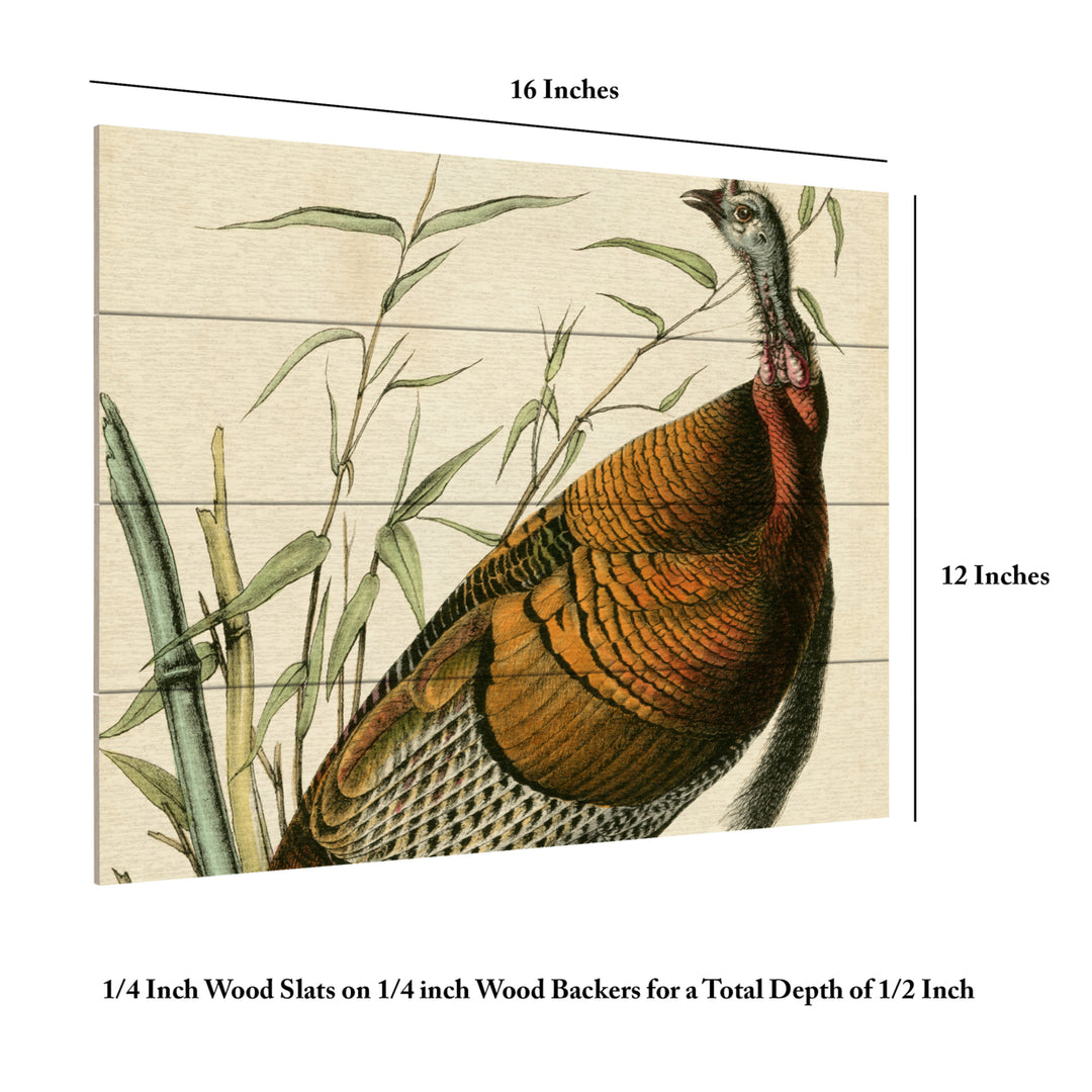 Wall Art 12 x 16 Inches Titled Audubon Wild Turkey Ready to Hang Printed on Wooden Planks Image 6