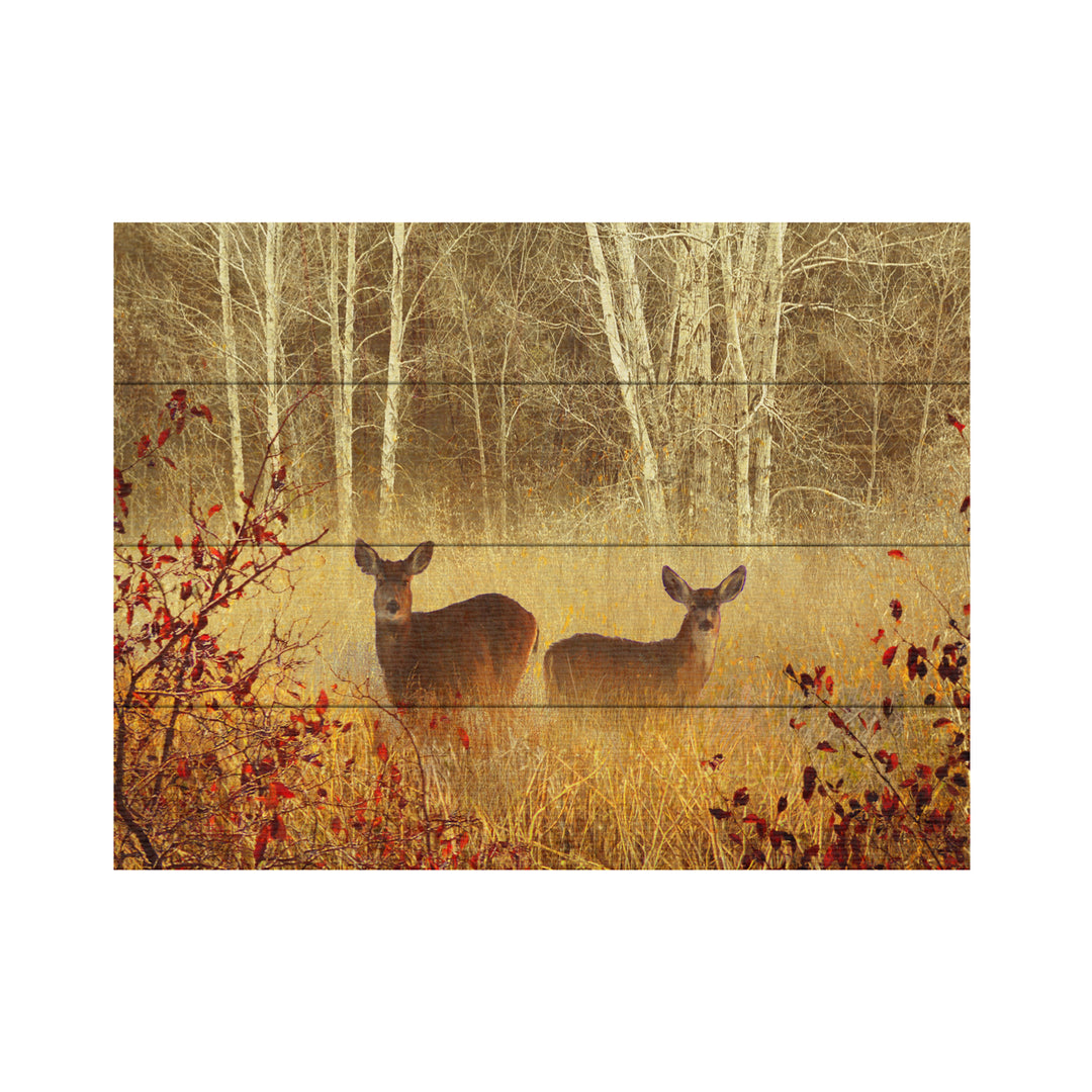 Wall Art 12 x 16 Inches Titled Foggy Deer Ready to Hang Printed on Wooden Planks Image 2