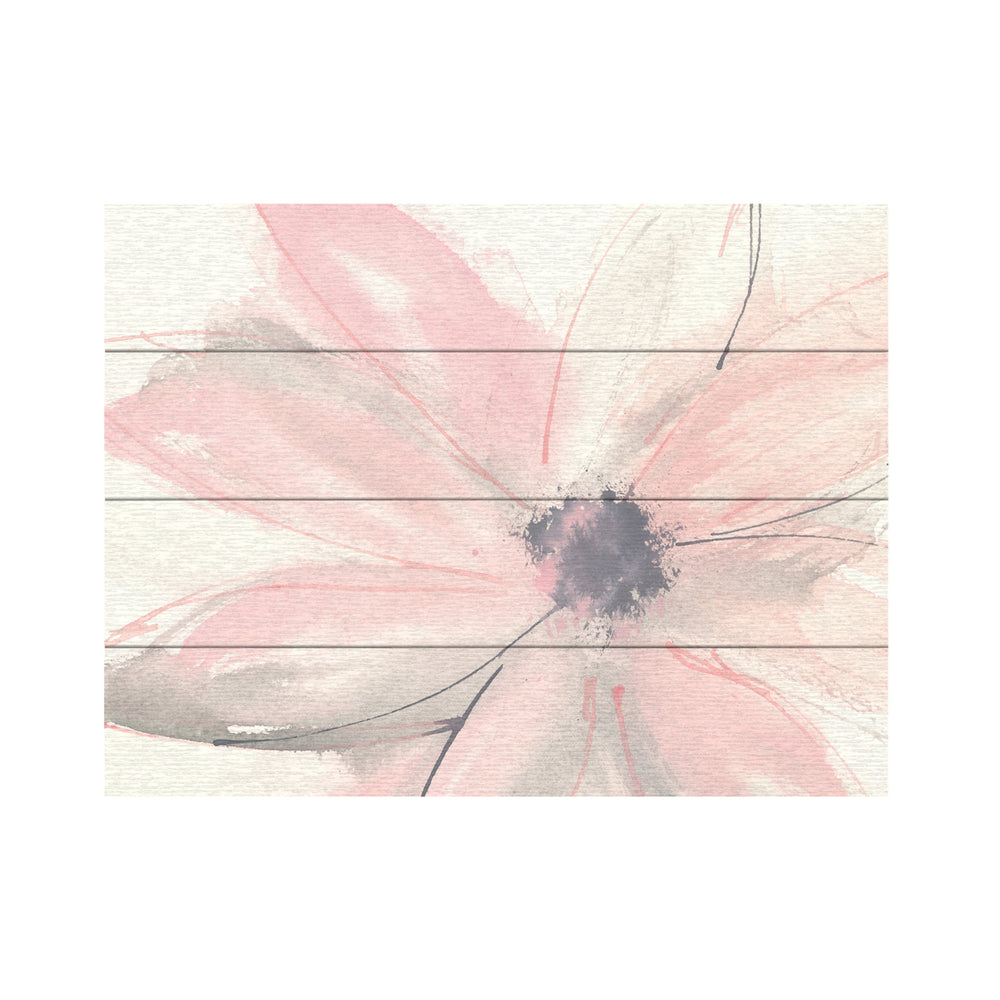 Wall Art 12 x 16 Inches Titled Blush Clematis I Ready to Hang Printed on Wooden Planks Image 2