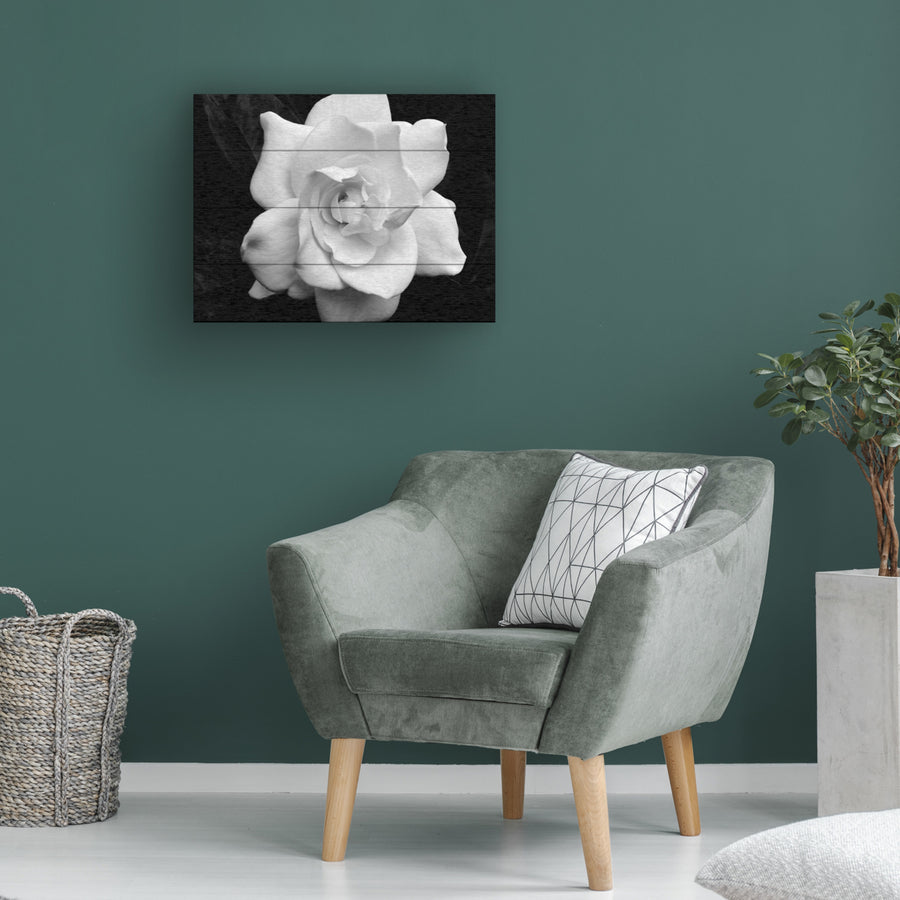 Wall Art 12 x 16 Inches Titled Gardenia in Black and White Ready to Hang Printed on Wooden Planks Image 1