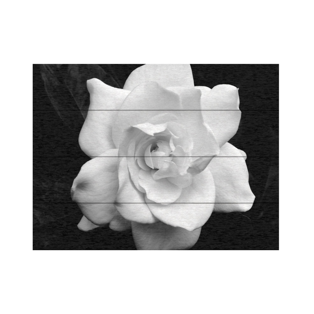 Wall Art 12 x 16 Inches Titled Gardenia in Black and White Ready to Hang Printed on Wooden Planks Image 2