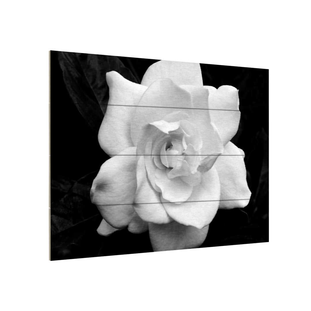 Wall Art 12 x 16 Inches Titled Gardenia in Black and White Ready to Hang Printed on Wooden Planks Image 3