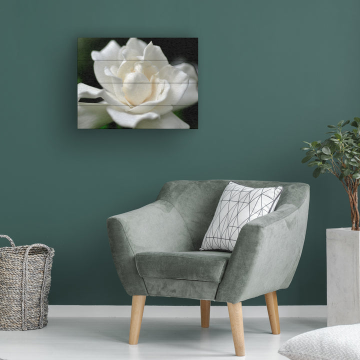 Wall Art 12 x 16 Inches Titled Lovely Gardenia Ready to Hang Printed on Wooden Planks Image 1