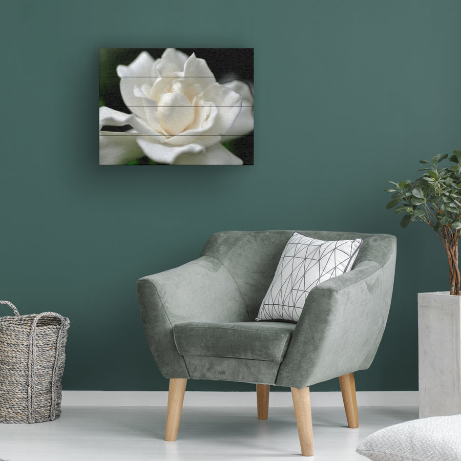Wall Art 12 x 16 Inches Titled Lovely Gardenia Ready to Hang Printed on Wooden Planks Image 1