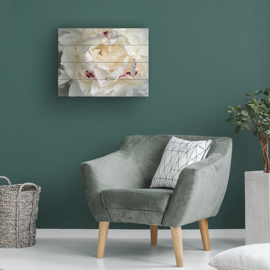 Wall Art 12 x 16 Inches Titled Perfect Peony Ready to Hang Printed on Wooden Planks Image 1