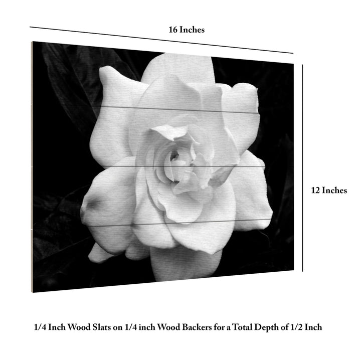 Wall Art 12 x 16 Inches Titled Gardenia in Black and White Ready to Hang Printed on Wooden Planks Image 6