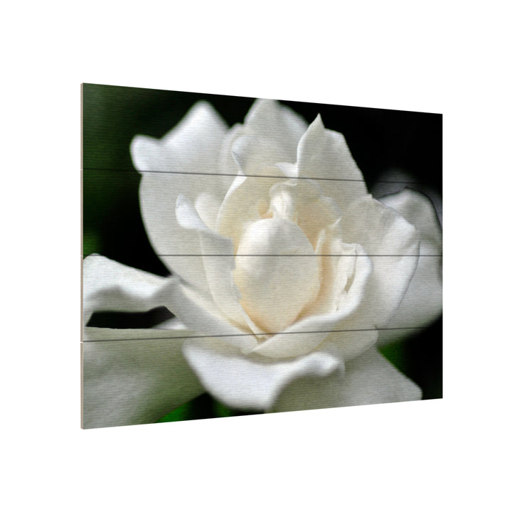 Wall Art 12 x 16 Inches Titled Lovely Gardenia Ready to Hang Printed on Wooden Planks Image 3