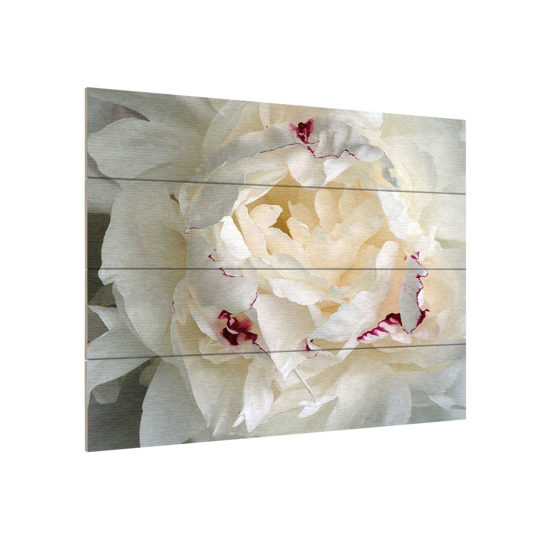 Wall Art 12 x 16 Inches Titled Perfect Peony Ready to Hang Printed on Wooden Planks Image 3