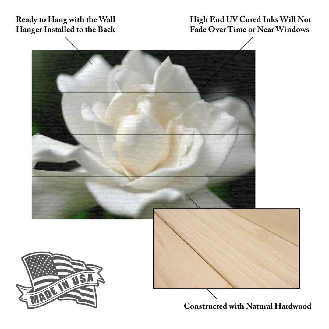 Wall Art 12 x 16 Inches Titled Lovely Gardenia Ready to Hang Printed on Wooden Planks Image 5