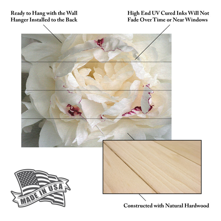 Wall Art 12 x 16 Inches Titled Perfect Peony Ready to Hang Printed on Wooden Planks Image 5