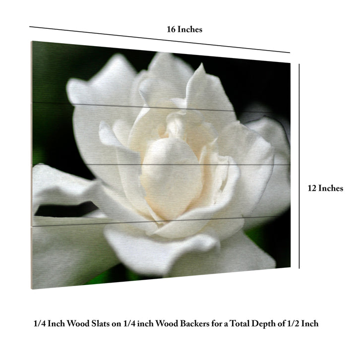 Wall Art 12 x 16 Inches Titled Lovely Gardenia Ready to Hang Printed on Wooden Planks Image 6