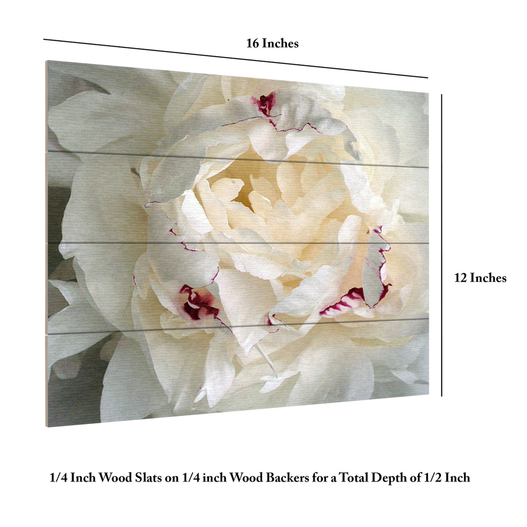 Wall Art 12 x 16 Inches Titled Perfect Peony Ready to Hang Printed on Wooden Planks Image 6