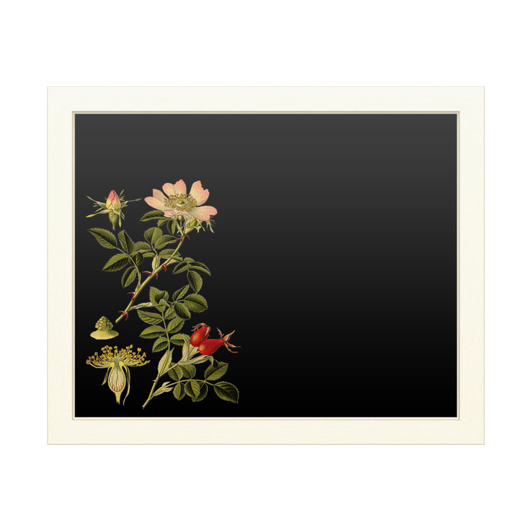 16 x 20 Chalk Board with Printed Artwork - Vision Studio Midnight Botanical I White Board - Ready to Hang Chalkboard Image 1